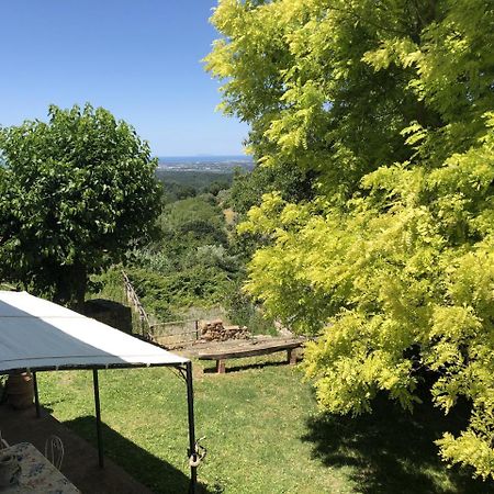 Haus Malerin - Meerblick, Umzaeunter Garten By Toscanatour جوارديستالو المظهر الخارجي الصورة